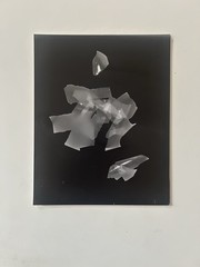 Untitled Photogram (5) Circa 2018