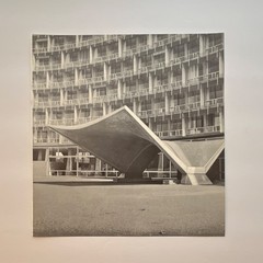 Vintage Black & White Modern Architecture Documentary Style Portrait Photograph