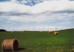 Fine Art Photography Color Image WI Farmland 11 X 8 1/2 in Signed
