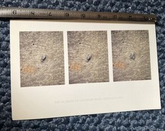Yasuhiro Ishimoto (1921-2012) Art Announcement Card 1988 naoya hatakeyama japan