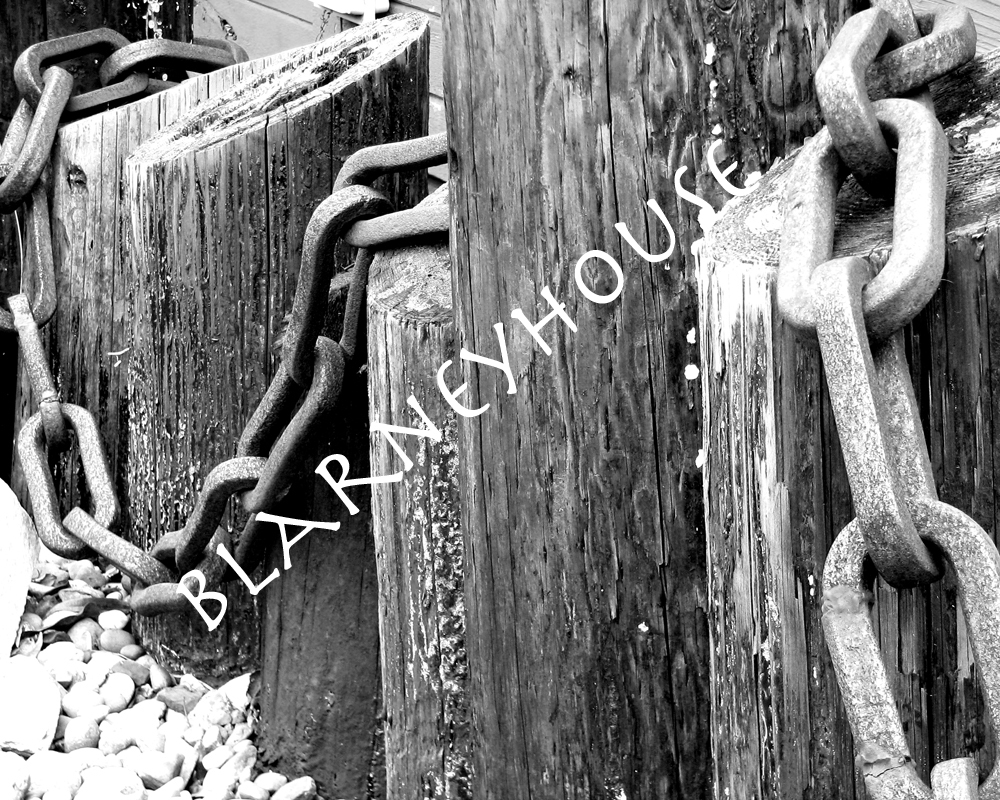 GREAT Nautical Black/White photo of an old rusted CHAIN