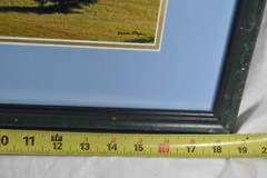 Framed & Matted Photograph by Susan Slapin WA. USA Aluminum Metal Print Signed
