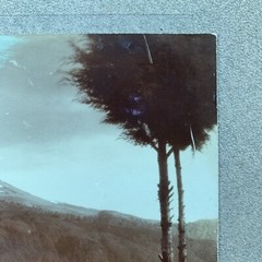 Original C. B. WAITE Photo, Popocatepetl From El Cedral Park, 2/5/1905 5” x 8”