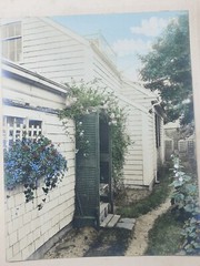 H. Marshall Gardiner Nantucket, MA Hand Colored Photo Print Signed Sweet Flower