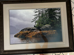 Thomas D. Mangelsen Guardian of Knight Inlet Rainforest Landscape Framed Photo