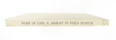 1927 Carl Akeley Photo Set Field Museum Natural History IL Taxidermy & Sculpture