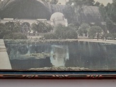 Hand Tint Oil Color Photo Botanical Bldg Balboa Park Ca 8”x12” 1915 Exposition