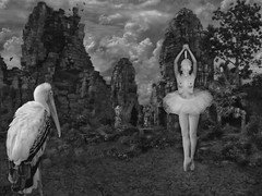Fine Art B+W Photograph NUDE Ballerina w/ Dagger & Birds Signed Ltd Edition COA