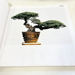 Nihon Bonsai Sakufu Ten 5th 1980 potted plants Japanese tradition art Photo Book
