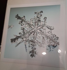 MIKE & DOUG STARN TWINS ‘Sno6_034.1 (Snowflake)’, 2005 SIGNED Photograph **NEW**