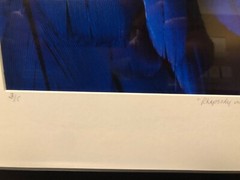 Art Photography Macro Large Digital Format Linda Jane Limited Mat/Framed Stellar