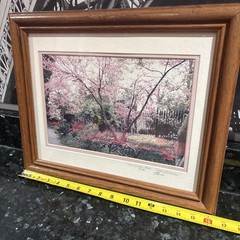 Cherry Blossom Photo Limited Edition # 4/89 Hand Signed Framed 16 1/2”x 13 1/2
