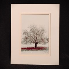 Apple Tree Winter Landscape Photography 8×10 Matted Photo Print Wall Art London