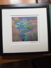Art Wolfe Signed Photograph – Alpine Stream, Moss & Wildflowers –Framed Fine Art