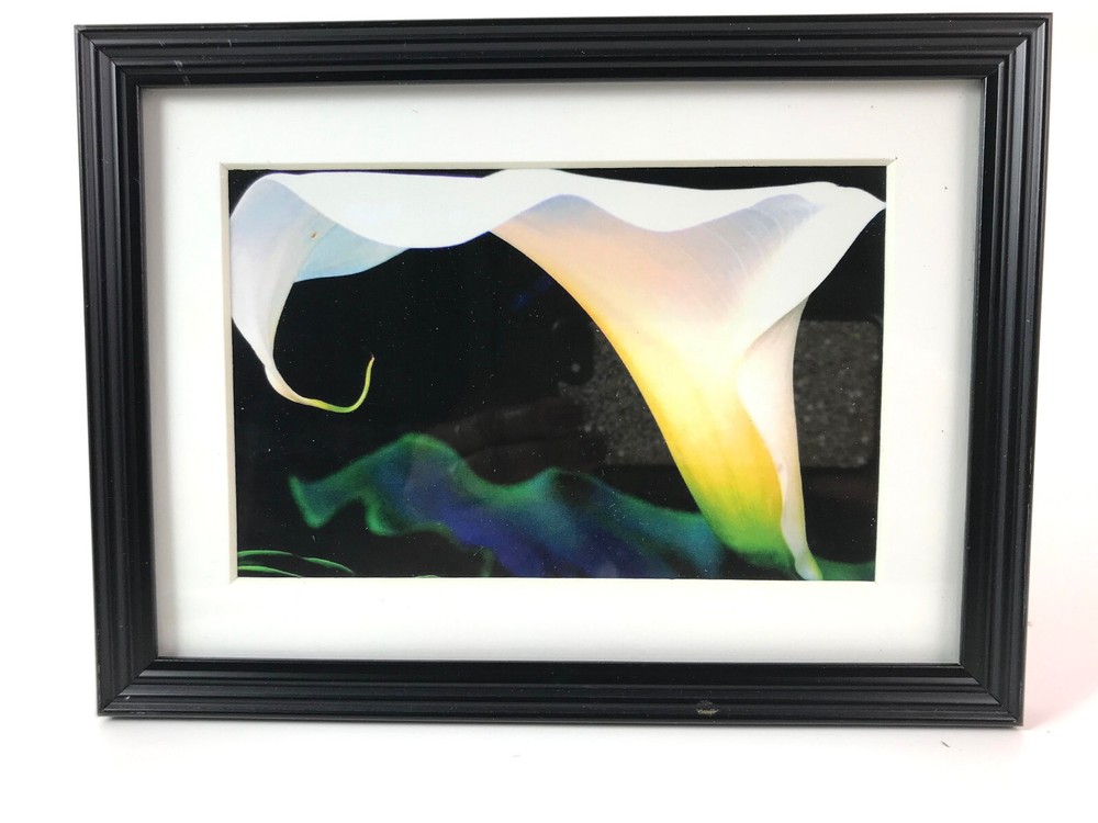 CALLA LILY 4×6 » MATTED AND FRAMED PHOTO PRINT, READY TO HANG