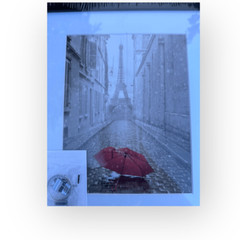 Framed photo art wall hanging Eiffel Tower and red umbrella new in plastic