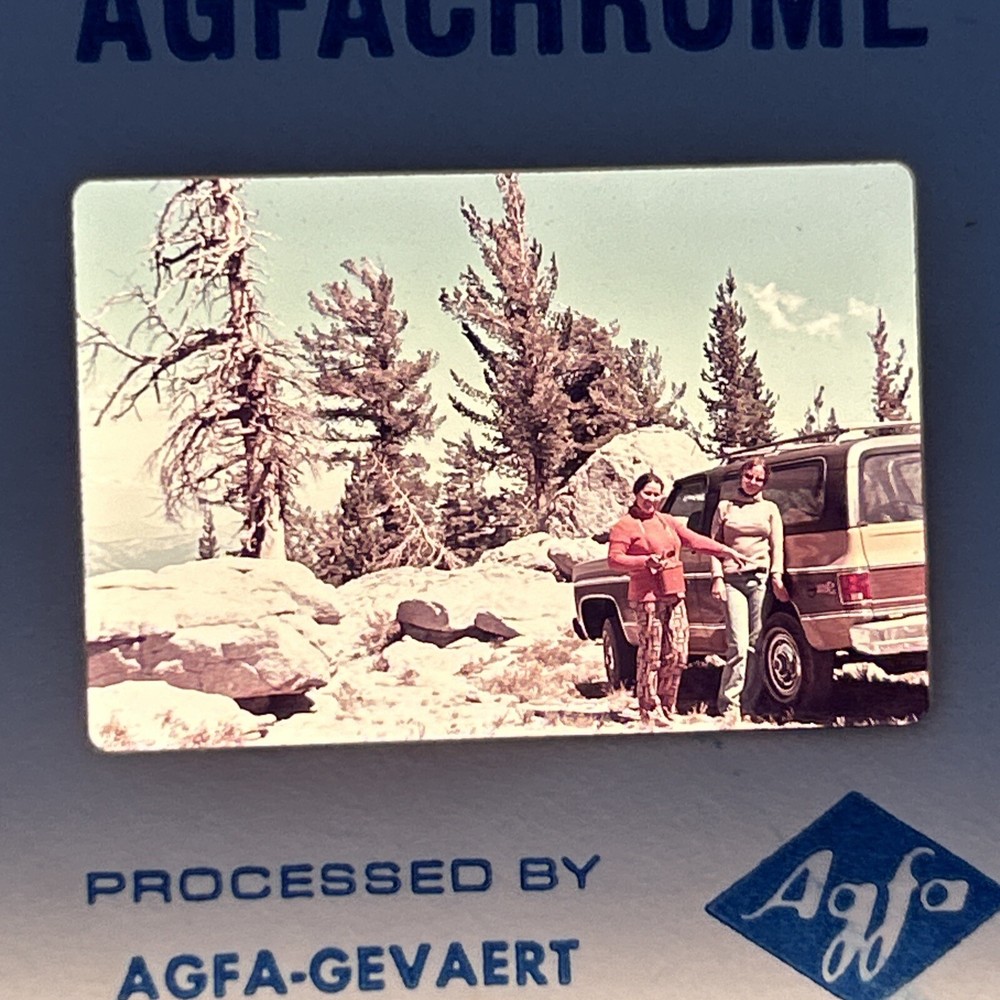 Lot Of 40 Vintage California Redwoods Ski Vacation Amateur 35mm Color Slides