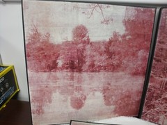 3 prints of Reflective Trees on Water Senery. 16″ x 16″ wood frames