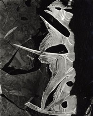 Mint, Signed Brett Weston Print – ‘Ice’ – 1975