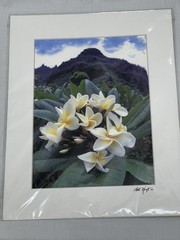 Kilahuea Hawaii Photography Art Photos 2 Scott Hanft Flowers Ocean 11 X 14 2000s