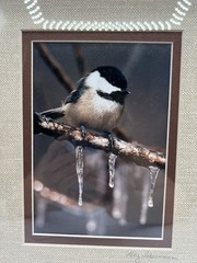 Chickadee On A Branch Original Photography Wooden Framed Signed Greg Ledermann