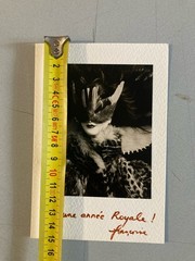 Original Photo Françoise A Jean Dieuzaide Greeting Card Photograph 1980 Pen