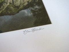 Springtime Reflection Yosemite – 11×14 Photograph signed Brian Blackwelder – #12