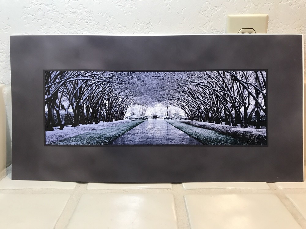 This Magic Moment Photograph Gary Love Snow Texas Brand New Signed