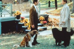 Movie Slide Dog Park Luke Wilson Natasha Henstridge Movie Slide KB Format L21-29-5-1