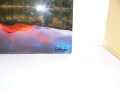 Moutain River Lake Sunrise Tree Wall Art On Metal Hanging Hawaii Nicholas Jensen