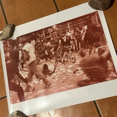 Janine Gordon Photograph 60″x24″ C-print Edition Grid Bike Kill Signed Fine Art