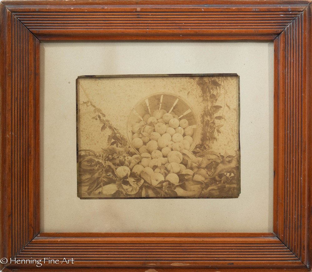Beautiful Antique Albumen Print Photograph of Bushel of Apples, Lovely!