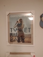 Photo Art 16” X 22” Framed