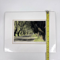 William Thayer Shady Lane Signed Art Photo Hand Colored Matted 6/250 in Plastic