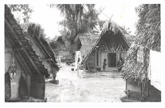 Photography Moi10204 Brazil Guyana Africa Woman 14 X 9 Cm