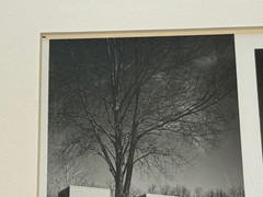 Framed Lot of 2 Black White Photographs of Sculptures at Laumeier Sculpture Park