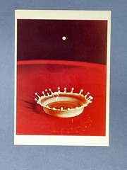 Milk Drop Coronet By Harold D. Edgerton Fotofolio Art Print Card 1988
