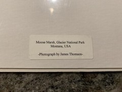 JAMES THOMSON SIGNED PRINT PHOTO MOOSE MARSH MONTANA Glacier National Park