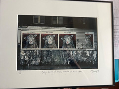 Frank H. Jump- photograph of Dolly: Lamb of God – of Brett Cook-Dizney Mural Art