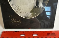 Vintage Artist Signed Snow Owl Portrait Framed 5×7”