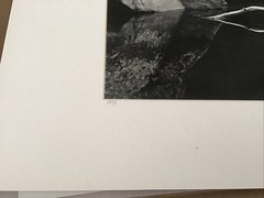 John Sexton signed photograph-White Branch, Yosemite 10×13 on 16×20 mat