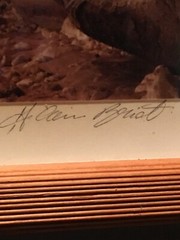 Alain Briot ~ Desert Landscape Photograph ~ SIGNED Artist’s Proof 1/1 ~ Framed