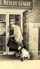 Animal Rescue League c1940 Fotofolio Art Photo Print Card 4.25”x6”