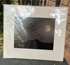 JOHN DAVID GEERY ~ «MOONLIGHT FLIGHT” SIGNED DIGITAL COMPOSITE PHOTO ~ 15” x 13”