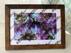 FRAMED ORIGINAL PHOTO FLOWER PURPLE SIGNED 5×7