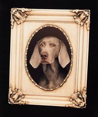 WILLIAM WEGMAN ‘Self-Portrait’, 2018 SIGNED Ltd Ed Color Dog Photograph 10″ x 8″