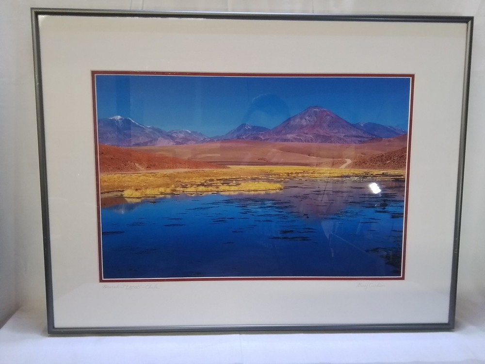 «Marsh at 15,000′ – Chile» – Framed Landscape Photograph by Gary Carlson