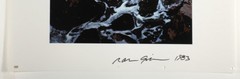 Ralph GIBSON: Storm, Maui, 1983 / Cibachrome / Editioned / SIGNED!