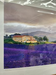 Signed Provence France Lavender Field Print “Mistral” 6/250 Framed Landscape Art