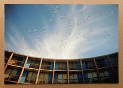 TAMARA LICHTENSTEIN signed limited edition photograph – FOUR Portfolio (2022)